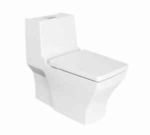 新典4.8升節(jié)水型連體座廁CP-2060